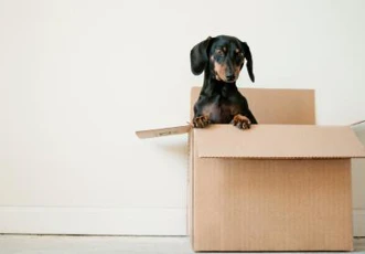 Home Movers Guide 400X278zc