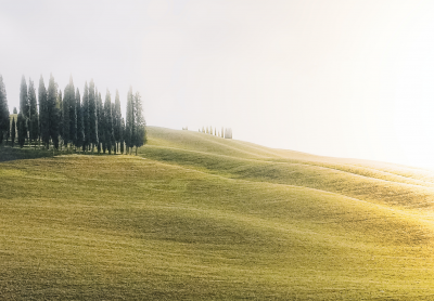 Guide to green mortgages